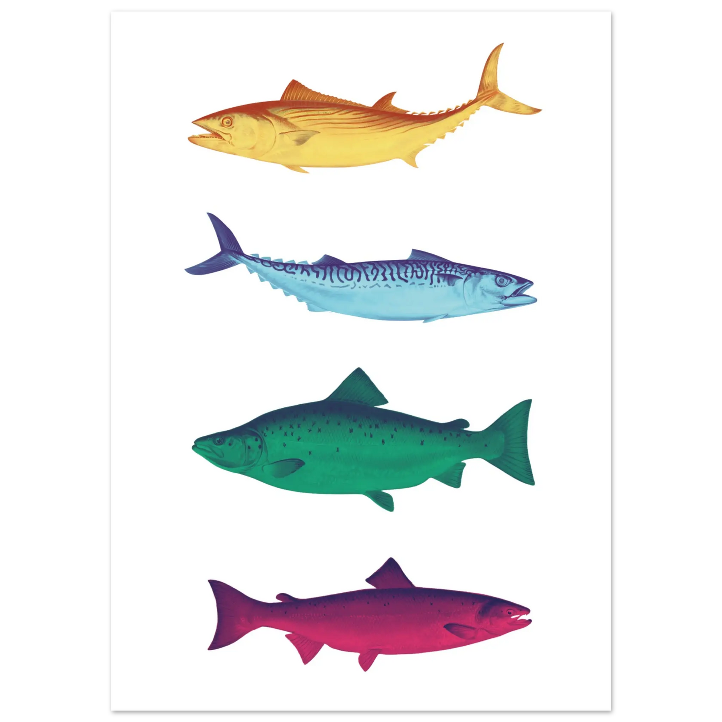 Affiche Poissons multicolores