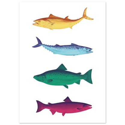 Affiche Poissons multicolores