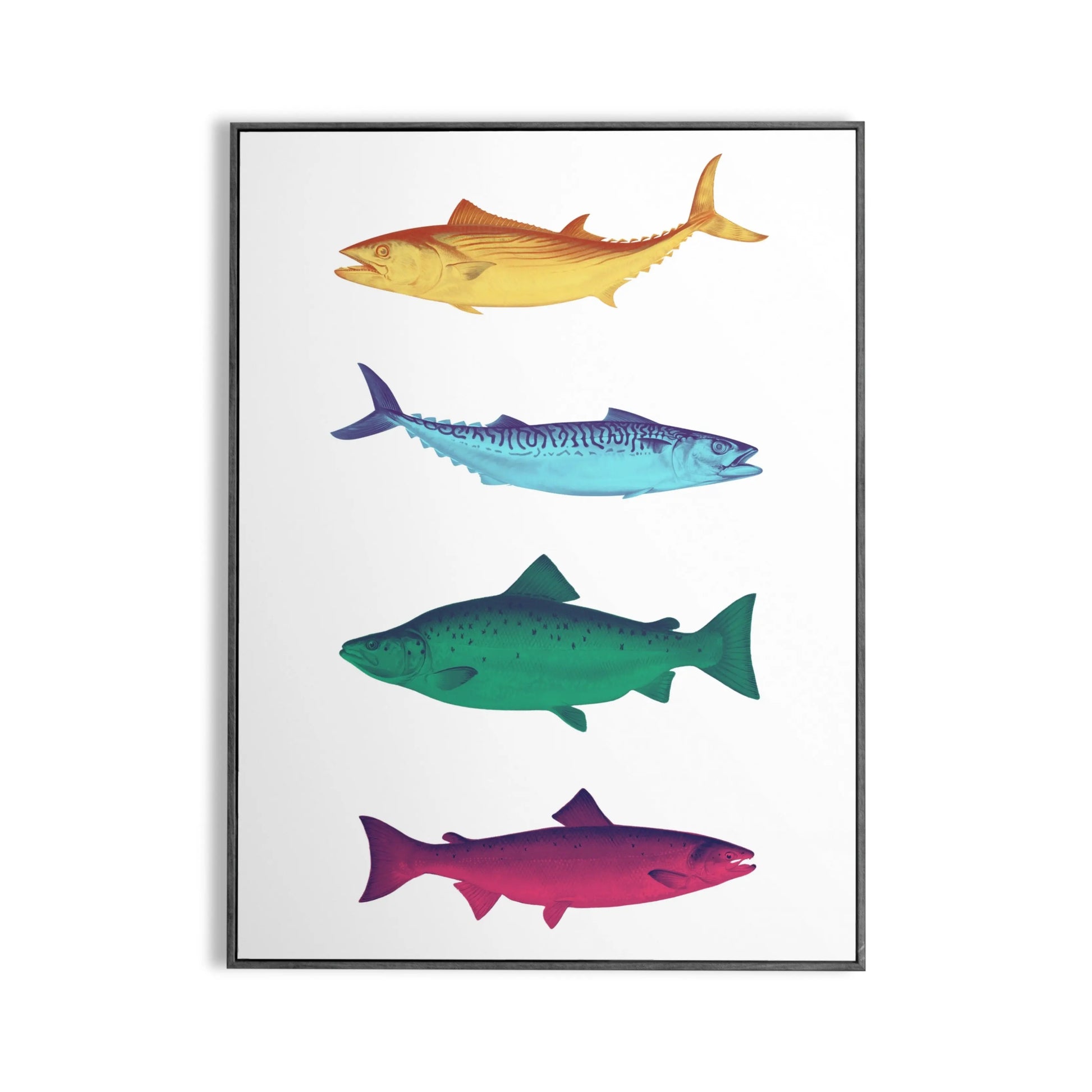 Affiche Poissons multicolores Place des Images