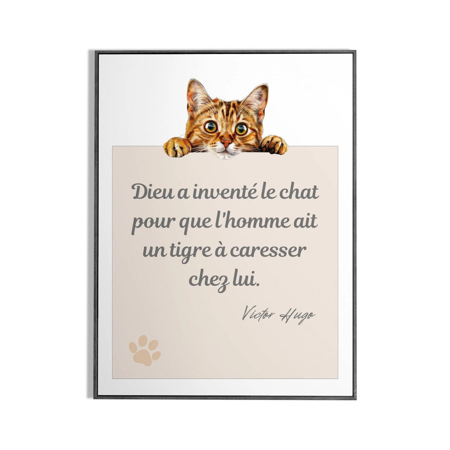 Affiche "Victor Hugo et les chats" Place des Images