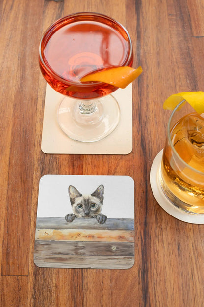 Dessous de verre - Chat gris regardant au-dessus d'une palissade - Vue en situation - Place des Images